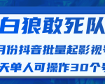 白狼敢死队最新抖音短视频批量起影视号（一天单人可操作30个号）视频课程-遨游资源库