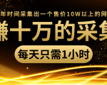 年赚十万的采集站，每天却只需要1小时，一年时间采集出一个售价10W以上的网站-遨游资源库
