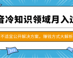 抖音冷知识领域月入过万项目，不适宜公开解决方案 ，抖音赚钱方式大解析！-遨游资源库