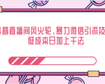 抖音直播间风火轮，暴力微信引流技术，低成本日加上千法-遨游资源库