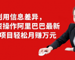 利用信息差异，零投资操作阿里巴巴最新管道项目轻松月赚10000+-遨游资源库