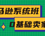 亚马逊系统班，专为0基础卖家量身打造，亚马逊运营流程与架构-遨游资源库