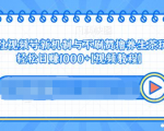 视频号新机制与不刷赞撸养生茶玩法，轻松日赚1000+-遨游资源库