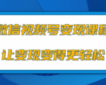 微信视频号变现项目，0粉丝冷启动项目和十三种变现方式-遨游资源库