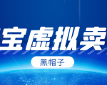黑帽子淘宝虚拟卖货项目，单店每月收入5000+-遨游资源库