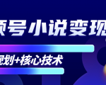 柚子微信视频号小说变现项目，全新玩法零基础也能月入10000+【核心技术】-遨游资源库