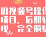 视频号操作书单变现项目，后期轻松变现，完全躺赚日入300至500元-遨游资源库