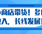 微信小商店带货,爆单多倍收入,长期复利循环!日赚300-800元不等-遨游资源库