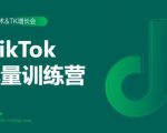 2020最新TikTok流量增长训练营（完结）附PPT-遨游资源库