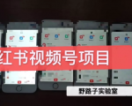 野路子小红书视频号1.0项目，直接上手操作就能赚钱的视频号项目-遨游资源库