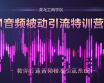 黄岛主·FM音频引流特训营2.0：独家引流模式，单账号50W+播放量，轻松变现-遨游资源库