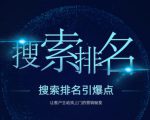 搜索排名引爆点：教你快速掌握各个搜索引擎排名算法，让客户主动找上你的秘笈-遨游资源库
