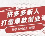拼多多新人打造爆款创业课：快速引流持续出单，适用于所有新人-遨游资源库