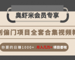 暴利偏门项目全套合集视频教程：你要的日赚1000+月入几万+项目都有-遨游资源库