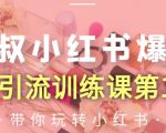 狼叔小红书爆款推广引流训练课第12期，手把手带你玩转小红书-遨游资源库