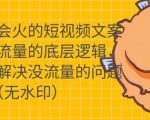 只说话就会火的短视频文案课，从根本上解决没流量的问题-遨游资源库