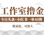 工作室撸金二件套：撸今日头条原创收益+小红书一单利润40块项目-遨游资源库