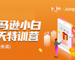 雨课·亚马逊小白特训营第9期 跨境电商挺赚钱的 有朋友已经月入几十万美金-遨游资源库