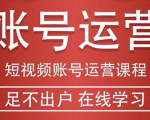 短视频账号运营课程：从话术到短视频运营再到直播带货全流程，新人快速入门-遨游资源库
