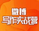 村西边老王·微博超级写作实战营，帮助你粉丝猛涨价值999元-遨游资源库
