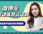 微创业全能训练营认证班课程，从理论知识与实际案例手把手指导创业新手如何从零到有-遨游资源库