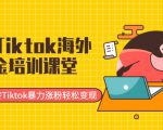 最新Tiktok海外掘金培训课堂:带你玩转Tiktok暴力涨粉轻松变现-遨游资源库