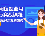 2021闲鱼副业月入过万实战课程:从开店到选择货源到引流,全程实战教学-遨游资源库