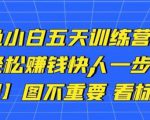 卓让闲鱼小白五天训练营，每天一小时，轻松赚钱快人一步-遨游资源库