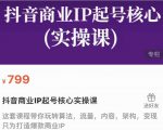 抖音商业IP起号核心实操课，带你玩转算法，流量，内容，架构，变现-遨游资源库