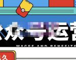 零零已久·从0-1运营公众号，零基础小白也能上手，系统性了解公众号运营-遨游资源库