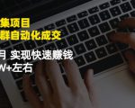 虚拟图集项目：矩阵站群自动化成交，3-5个月实现快速赚钱月入1W+左右-遨游资源库