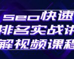 seo快速排名实战讲解视频课程,揭秘seo快排原理-遨游资源库