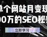单个网站月变现100万的SEO秘密，百分百做出赚钱站点-遨游资源库