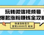 玩转微信视频号爆款涨粉赚钱全攻略,快速涨粉百万变现万元秘诀-遨游资源库