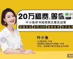 叶小鱼21天短视频文案拆书营，学完轻松搞定各类书单短视频文案-遨游资源库