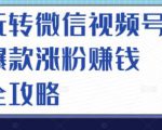 玩转微信视频号爆款涨粉赚钱全攻略,让你快速抓住流量风口,收获红利财富-遨游资源库