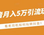 老古董·抖音月入5万引流玩法，看看老司机如何玩转抖音(附赠：抖音另类引流思路)-遨游资源库