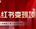 渣圈学苑·小红书虚拟资源变现项目,一起捞钱掘金价值1099元-遨游资源库