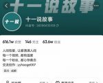 十一说故事·故事性中视频，观众快速共鸣从而快速变现的中视频玩法-遨游资源库