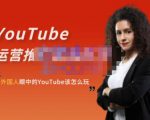 外国人眼中的YouTube该怎么玩?Elisa·YouTube运营推广实战技巧-遨游资源库