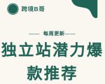 【跨境B哥】独立站潜力爆款选品推荐，测款出单率高达百分之80-遨游资源库