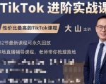 大山老师TikTok进阶实战课:账号详解,流量运营,实战变现,助力你成功出海-遨游资源库
