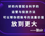 张sir账号流量增长课，告别海王流量，让你的流量更精准-遨游资源库