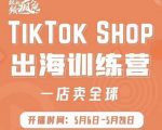 疯人院:TikTok Shop出海训练营(一店卖全球),出海抢占全球新流量-遨游资源库