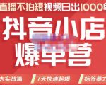 推易电商·2022年抖音小店爆单营，不直播、不拍短视频、日出1000单，暴力玩法-遨游资源库