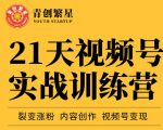 张萌21天视频号实战训练营，裂变涨粉、内容创作、视频号变现 价值298元-遨游资源库