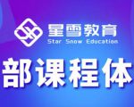 星雪教育淘系高级班，更全的运营提升方案，零基础由浅入深，店铺最新玩法-遨游资源库