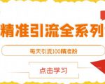 闲鱼精准引流全系列课程,每天引流100精准粉【视频课程】-遨游资源库