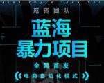 引流哥蓝海暴力躺赚项目：无需发圈无需引流无需售后，每单赚50-500（教程+线报群)-遨游资源库