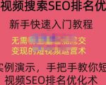 宋老师·短视频搜索SEO优化，教你10分钟创作一个短视频，三天排名上第一-遨游资源库